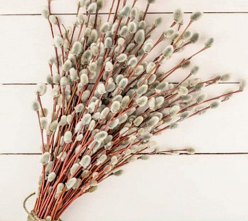 Ярмарка- Вербный базар